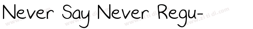 Never Say Never Regu字体转换